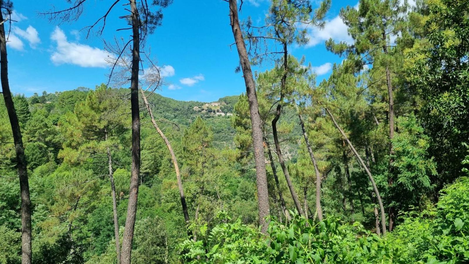Village De Chalets Joyeuse Εξωτερικό φωτογραφία