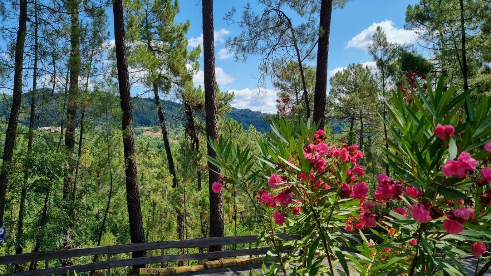 Village De Chalets Joyeuse Εξωτερικό φωτογραφία